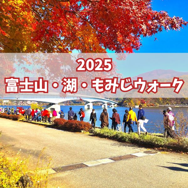 2025 富士山 湖 もみじウォーク