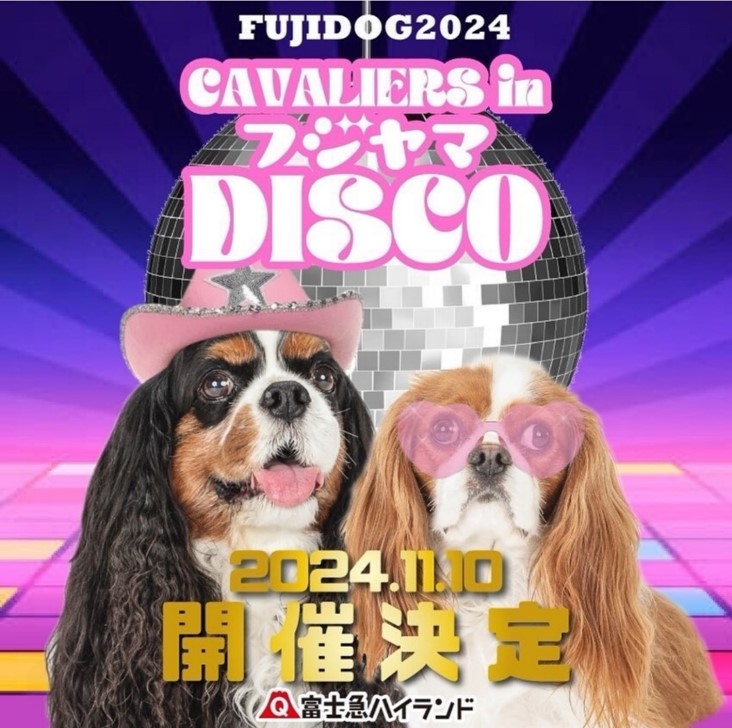 FUJI DOG2024「CAVALIERS in フジヤマDISCO」