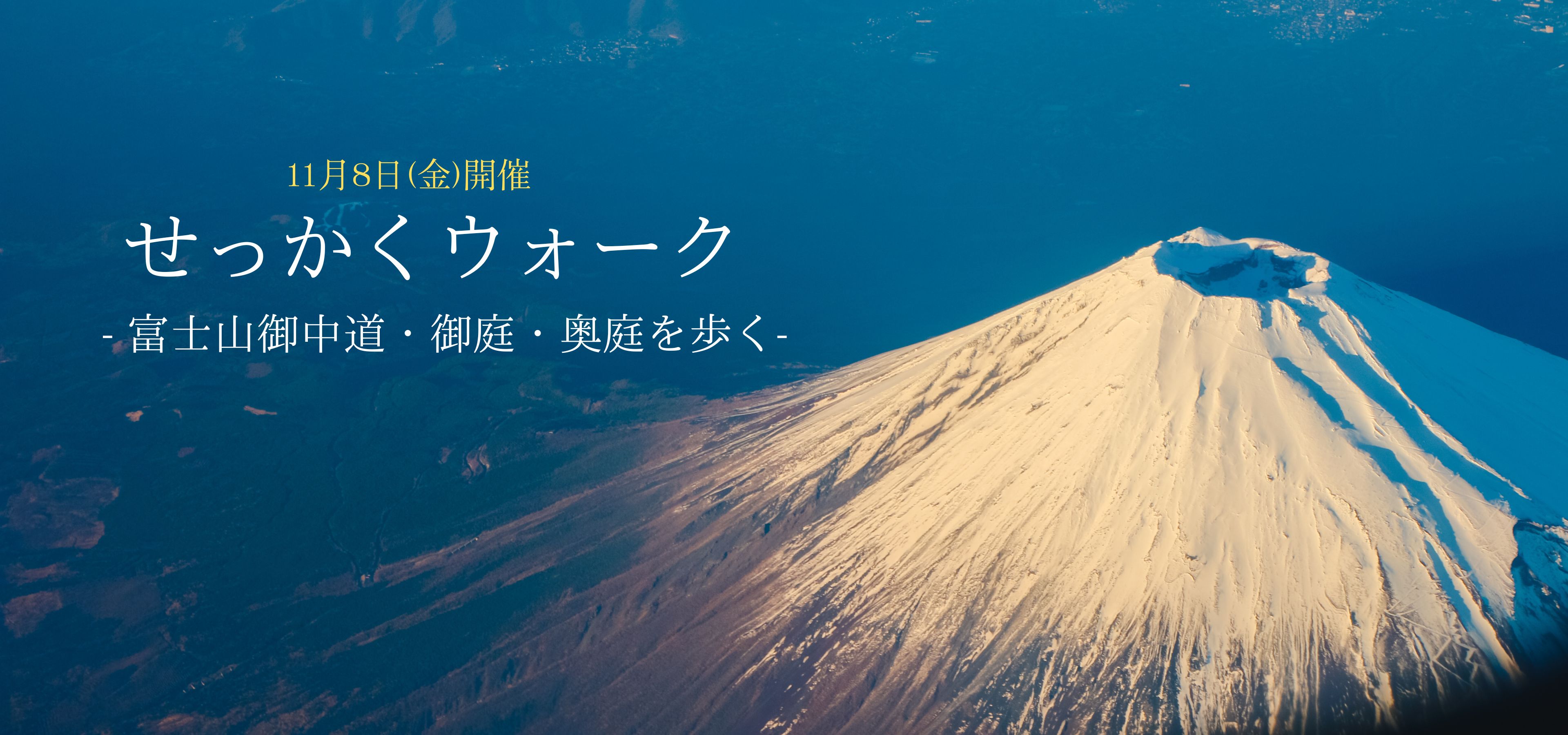 井出醸造蔵開き