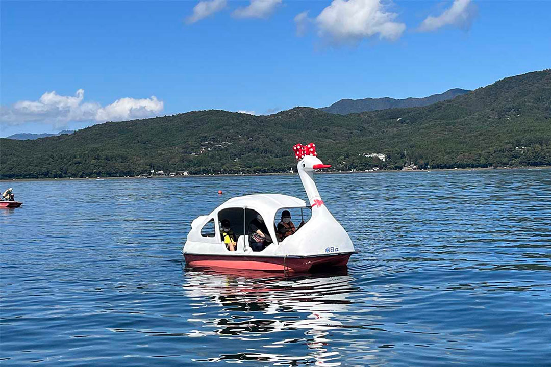 旭日丘観光
