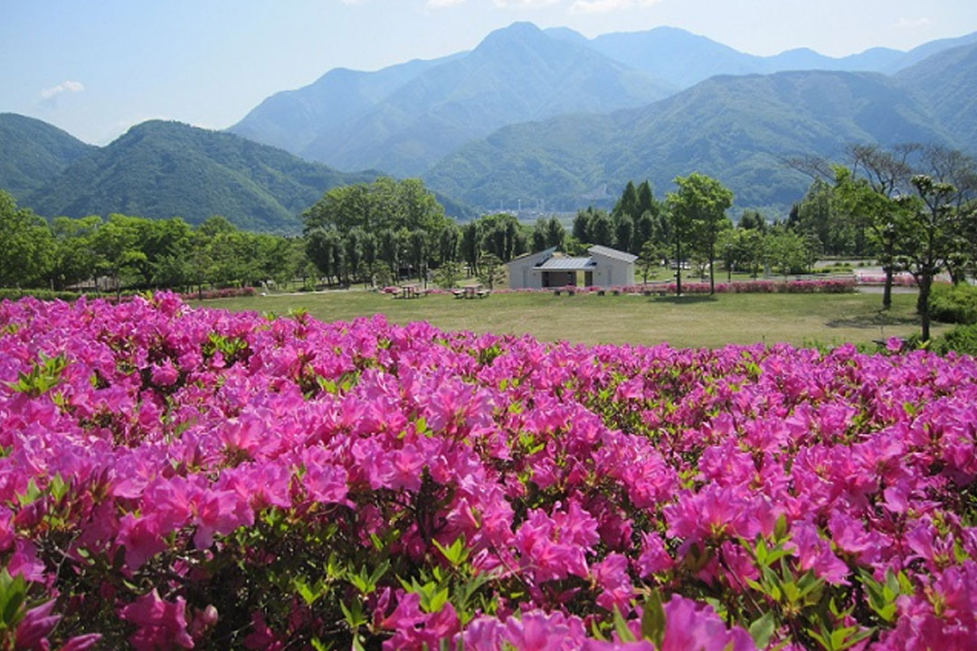 山梨県富士川クラフトパーク