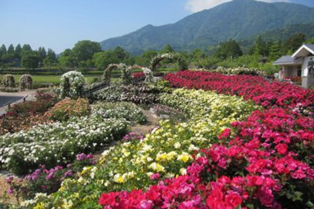 山梨県富士川クラフトパーク