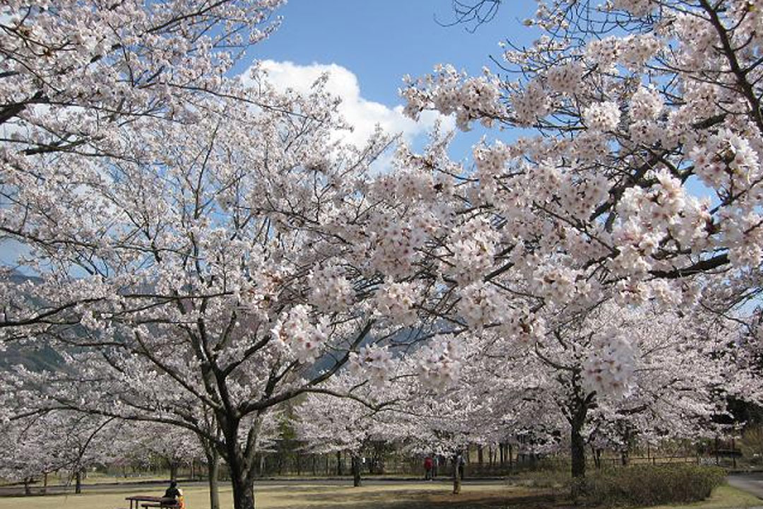 山梨県富士川クラフトパーク