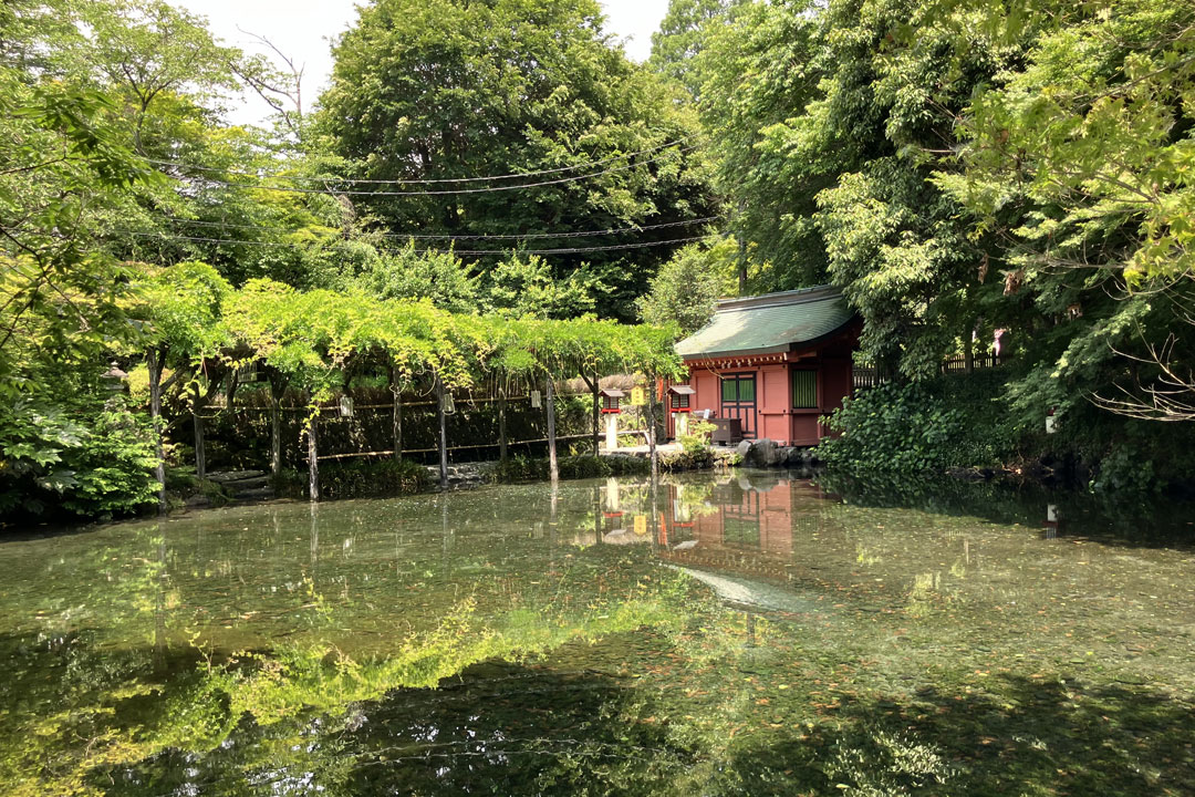 富士山本宮浅間大社