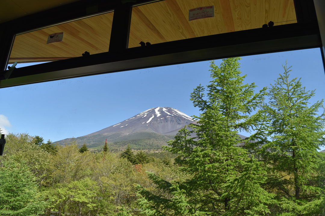 森の駅 富士山