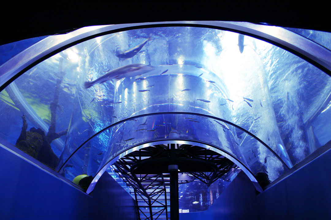 森の中の水族館。山梨県立富士湧水の里水族館