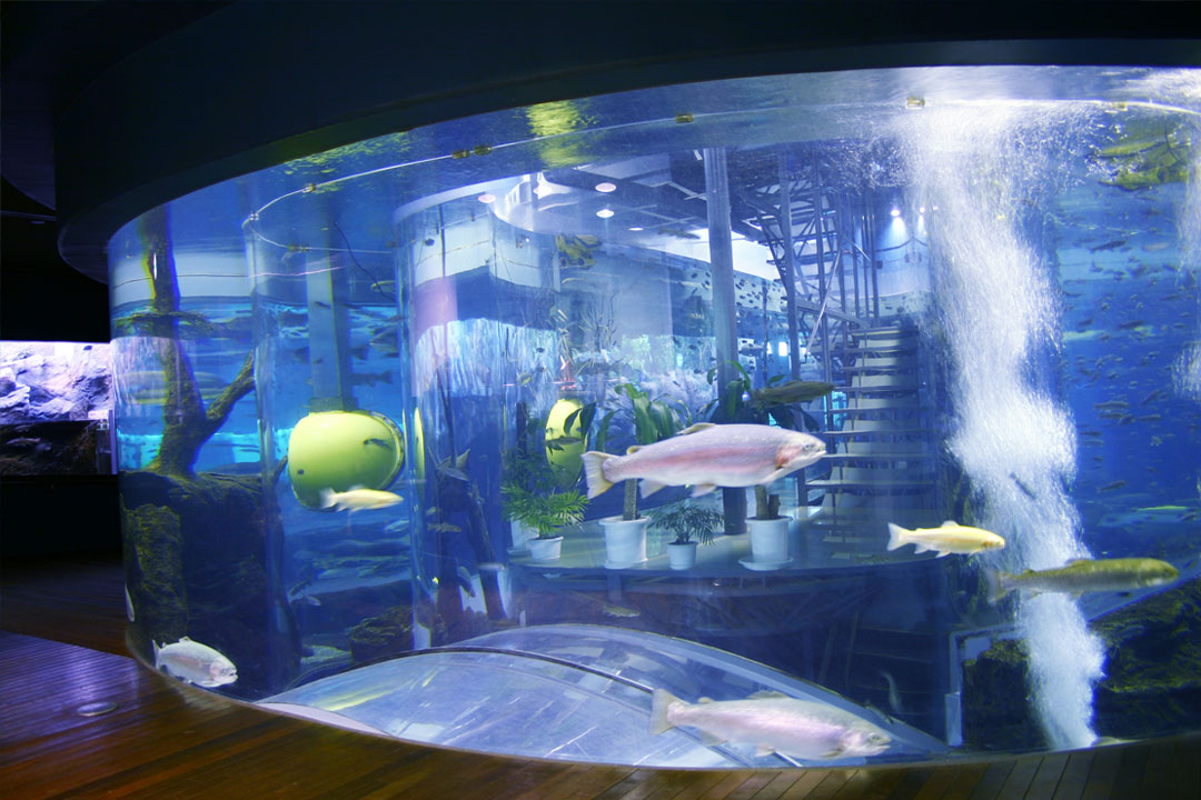 森の中の水族館。山梨県立富士湧水の里水族館