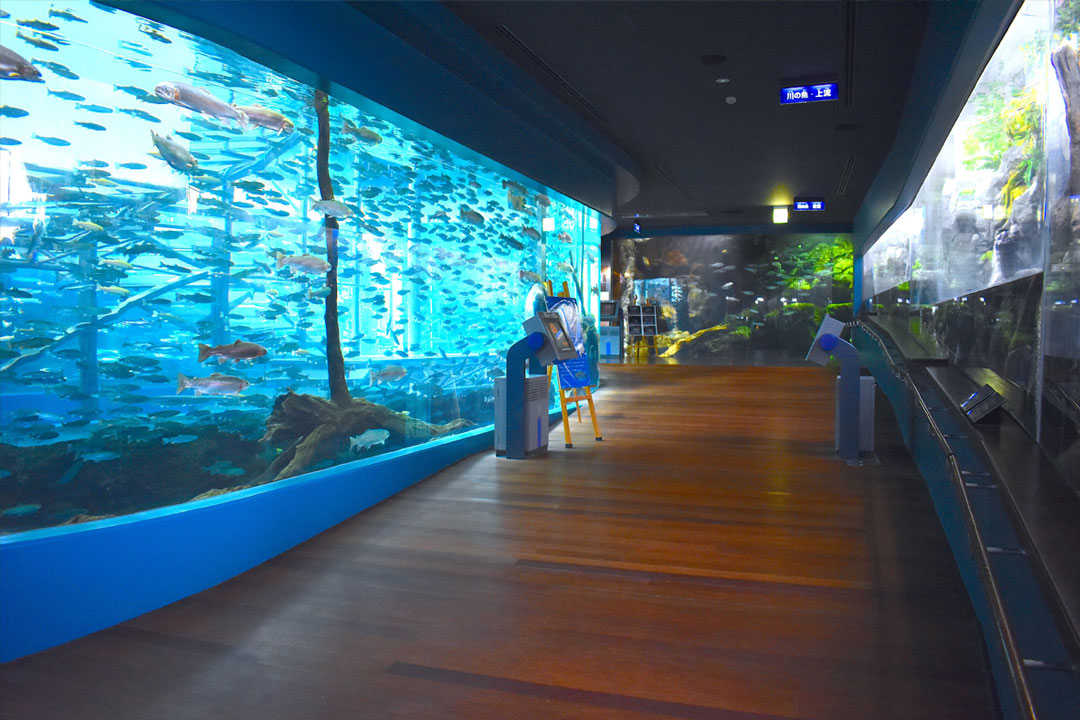 森の中の水族館。山梨県立富士湧水の里水族館