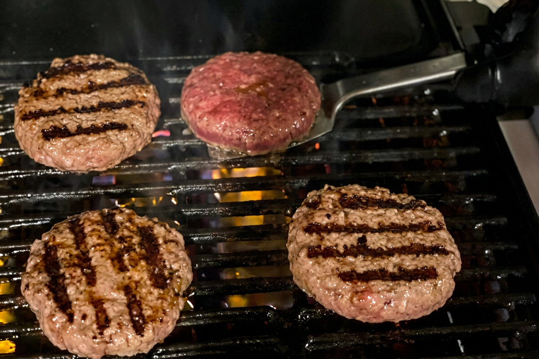 HAMBURGIRL