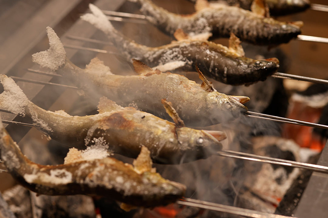 日本料理「こころぎ(kokorogi)」