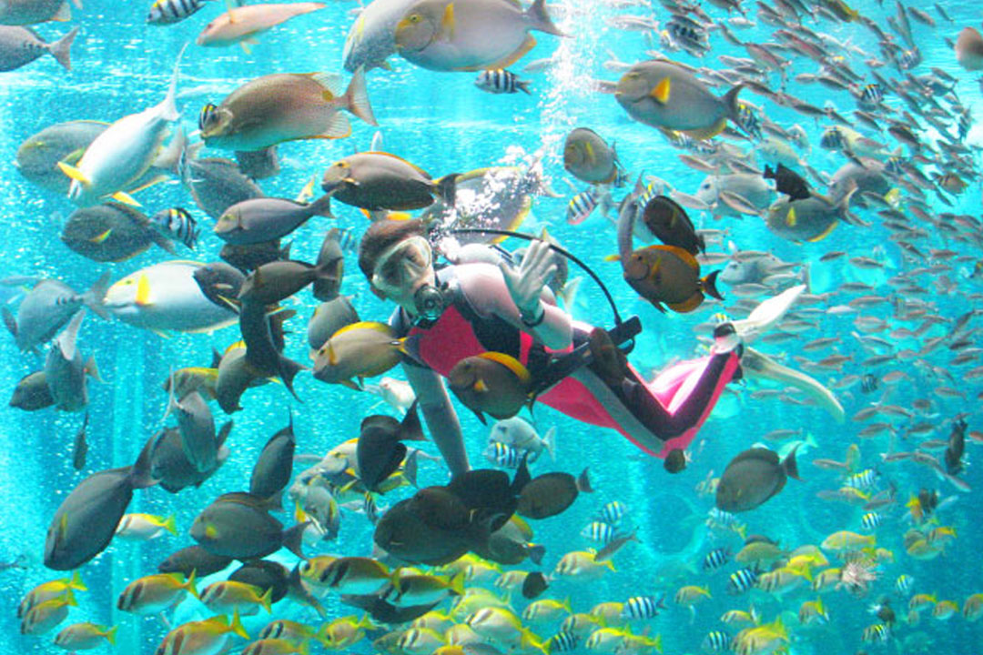 箱根園水族館