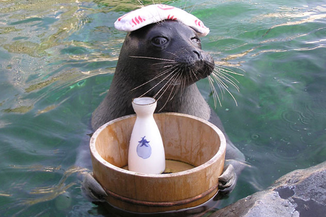 箱根園水族館