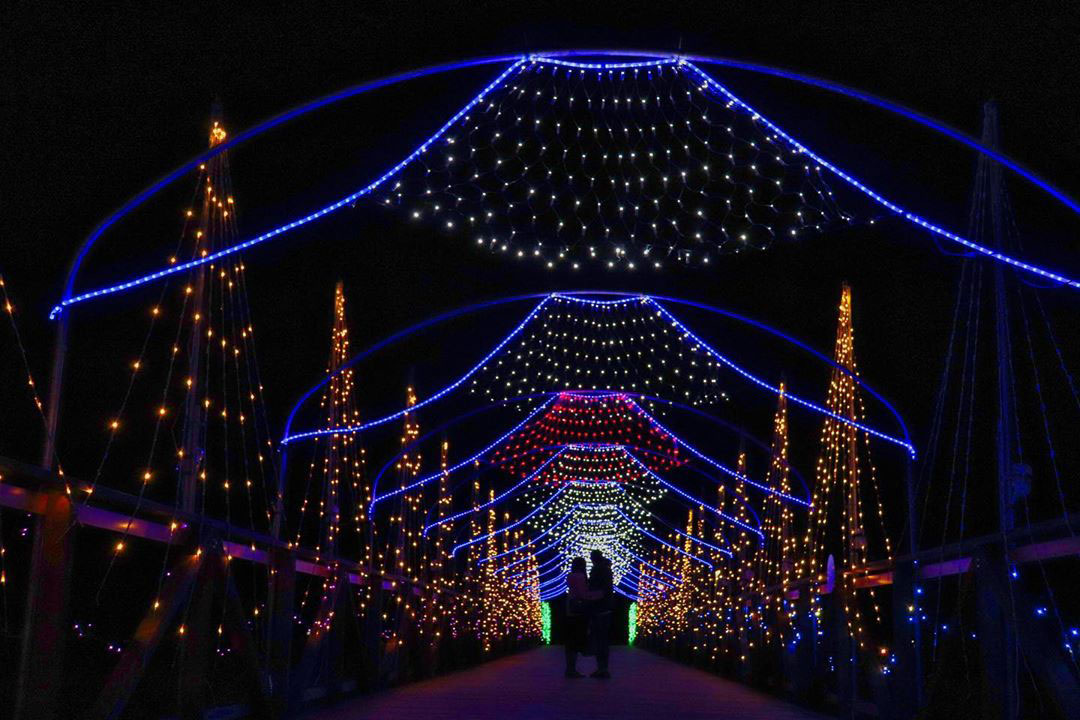 山中湖 花の都公園