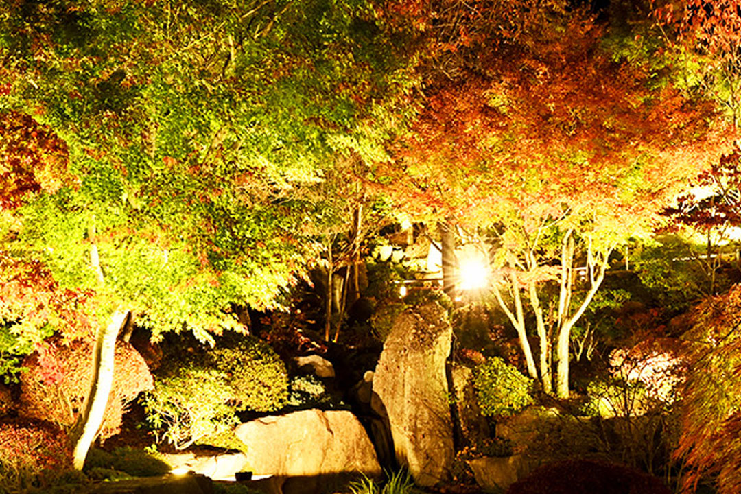 ハーブ庭園 旅日記 富士河口湖庭園