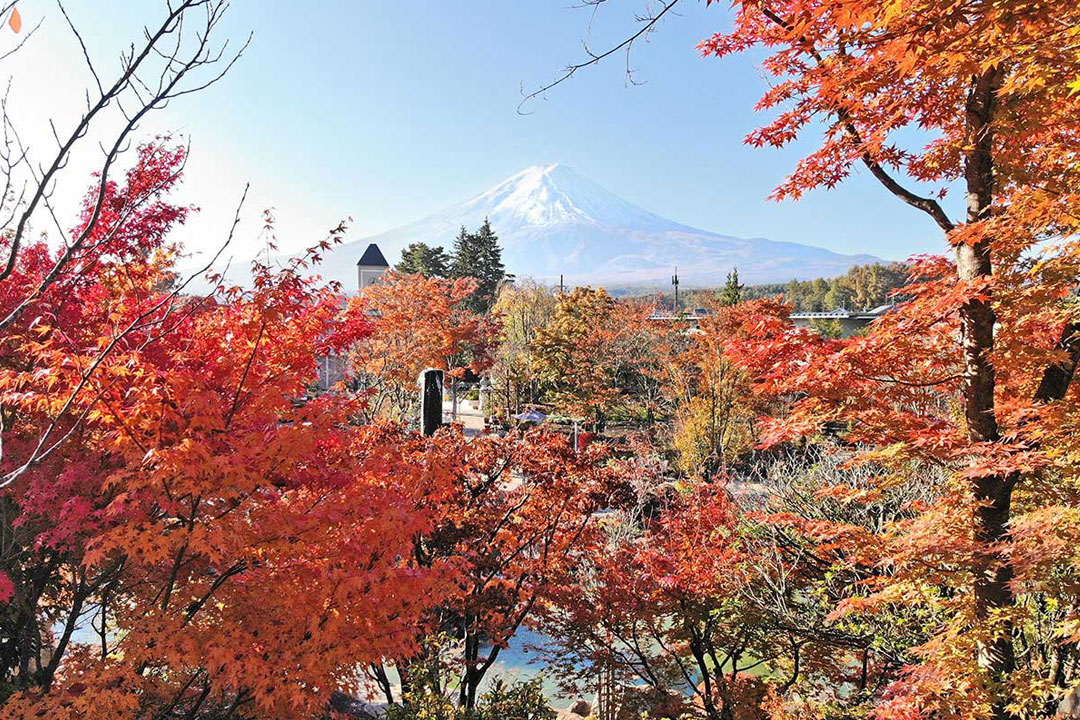 ハーブ庭園 旅日記 富士河口湖庭園