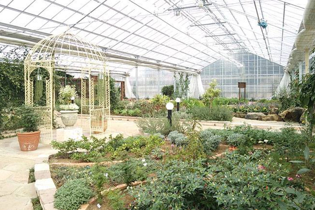 ハーブ庭園 旅日記 勝沼庭園