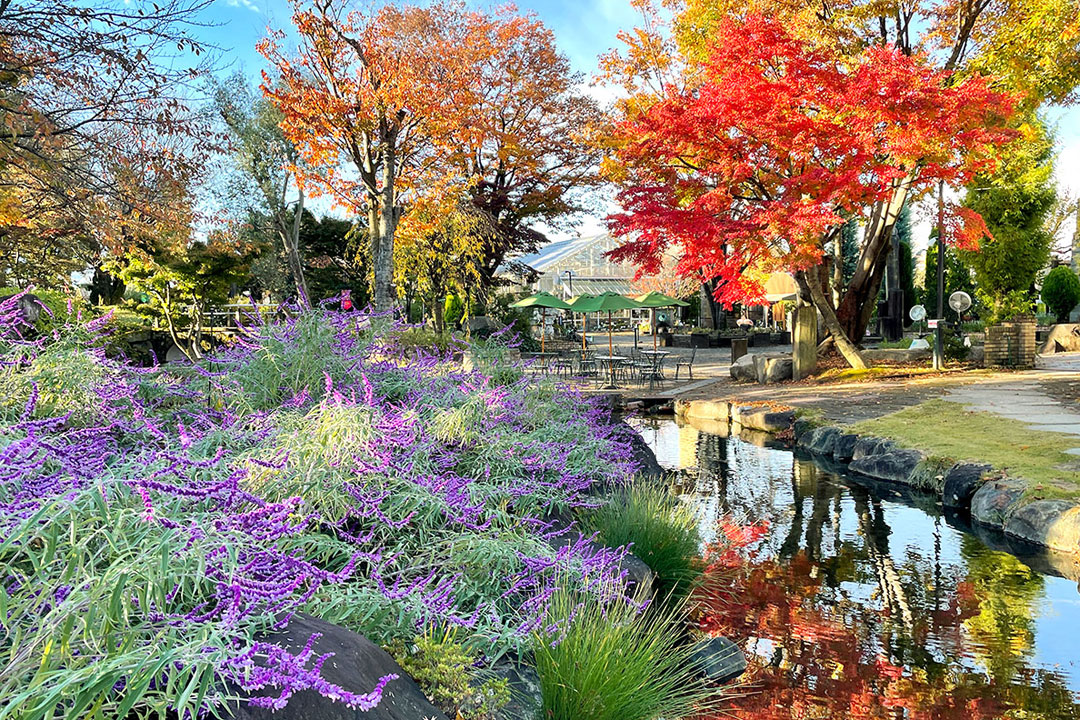 ハーブ庭園 旅日記 勝沼庭園