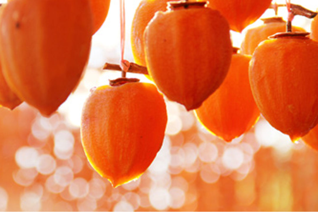 JAフルーツ山梨 フルーツ直売所勝沼店