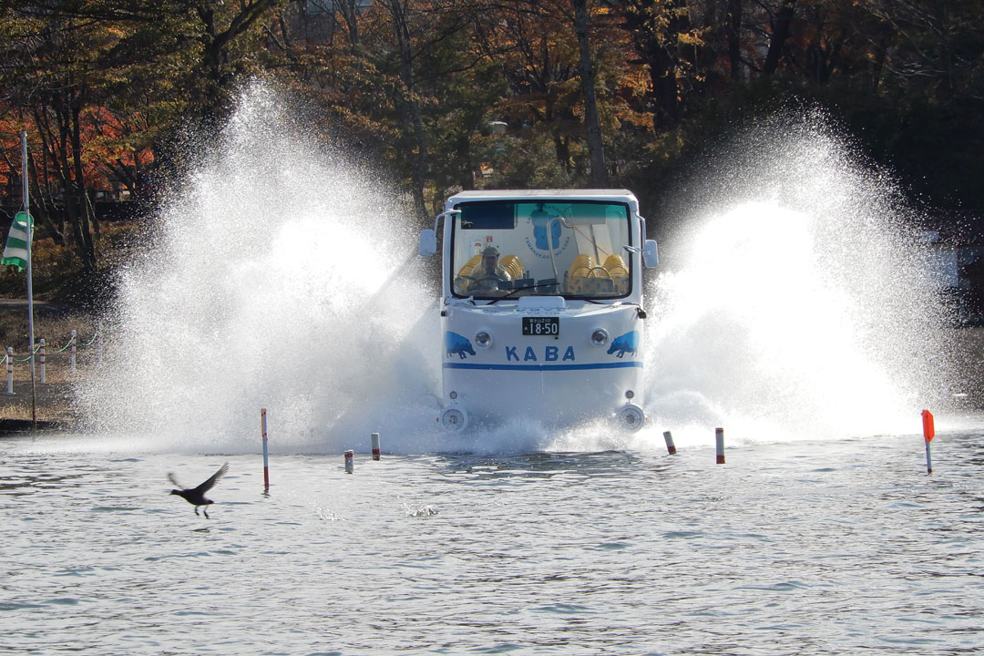 水陸両用バス 山中湖のカバ