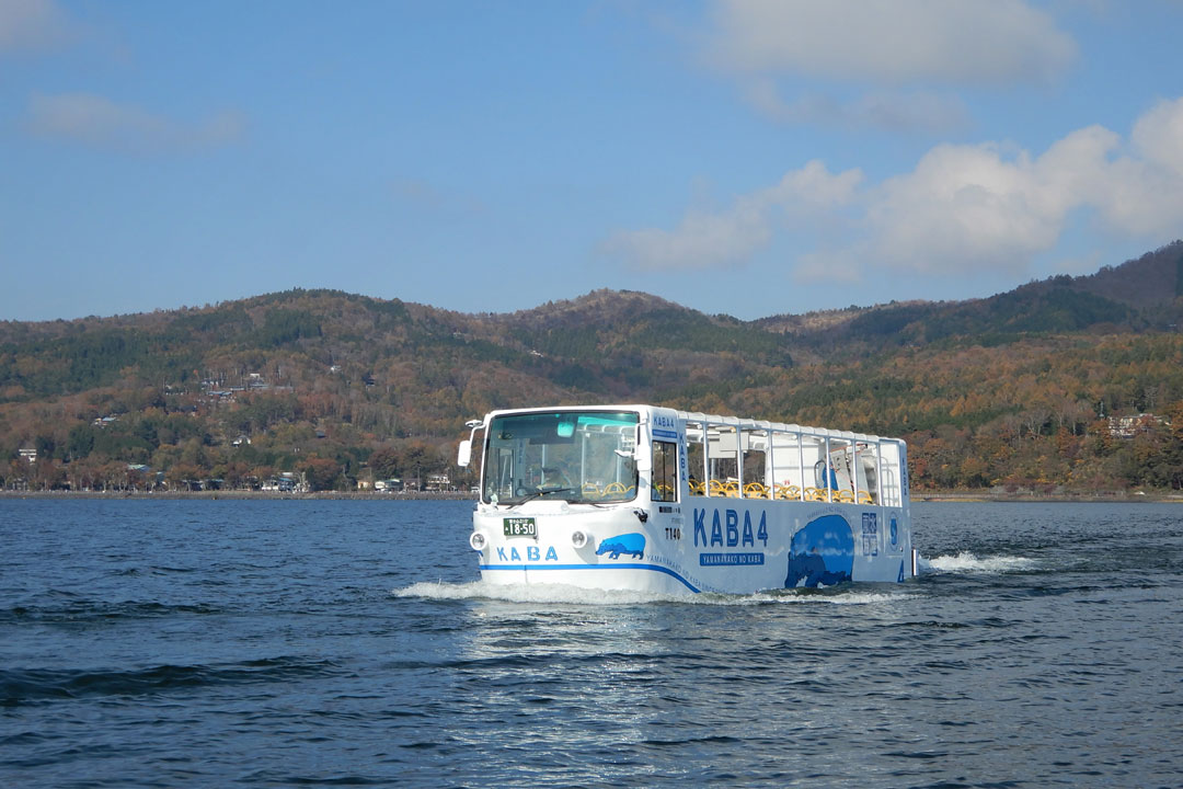 水陸両用バス 山中湖のカバ