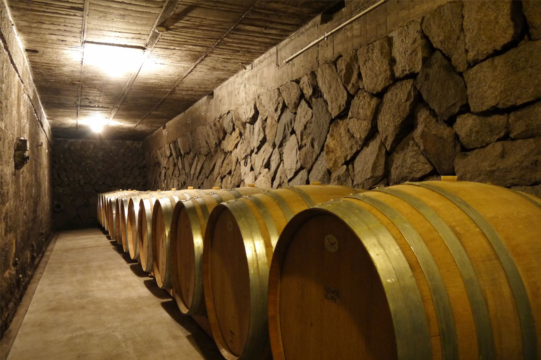 ルミエールワイナリー