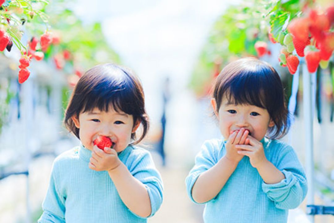 見晴らし園"