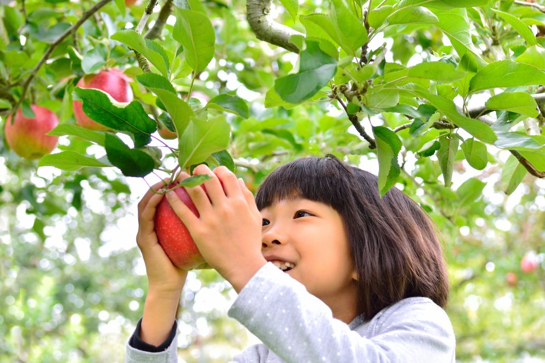 見晴らし園