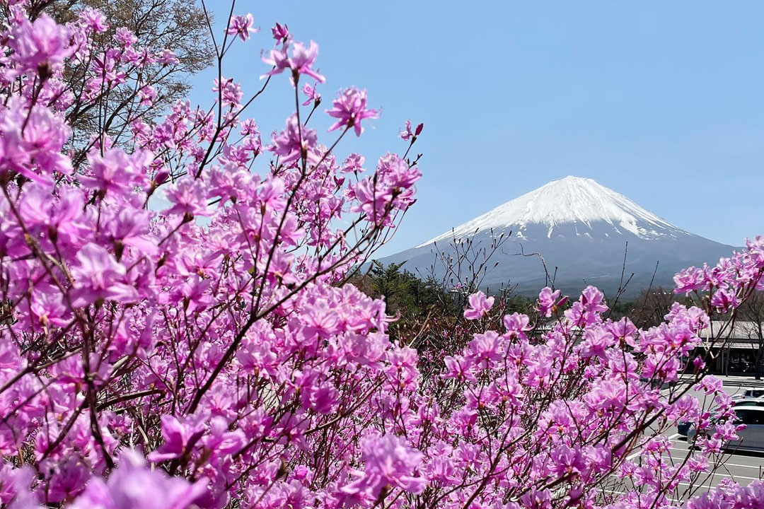 なるさわ富士山博物館