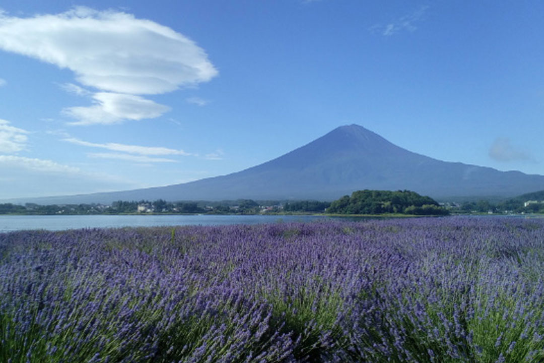 河口湖自然生活館