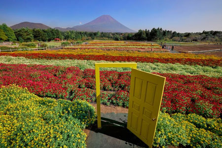 虹の花まつり