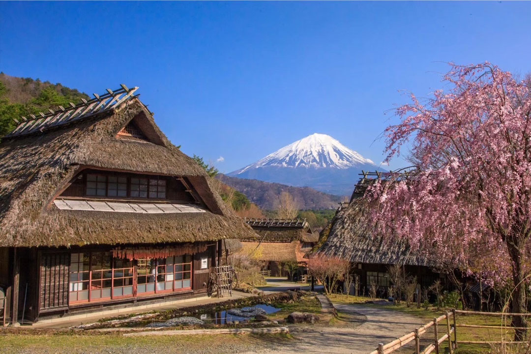 西湖いやしの里根場