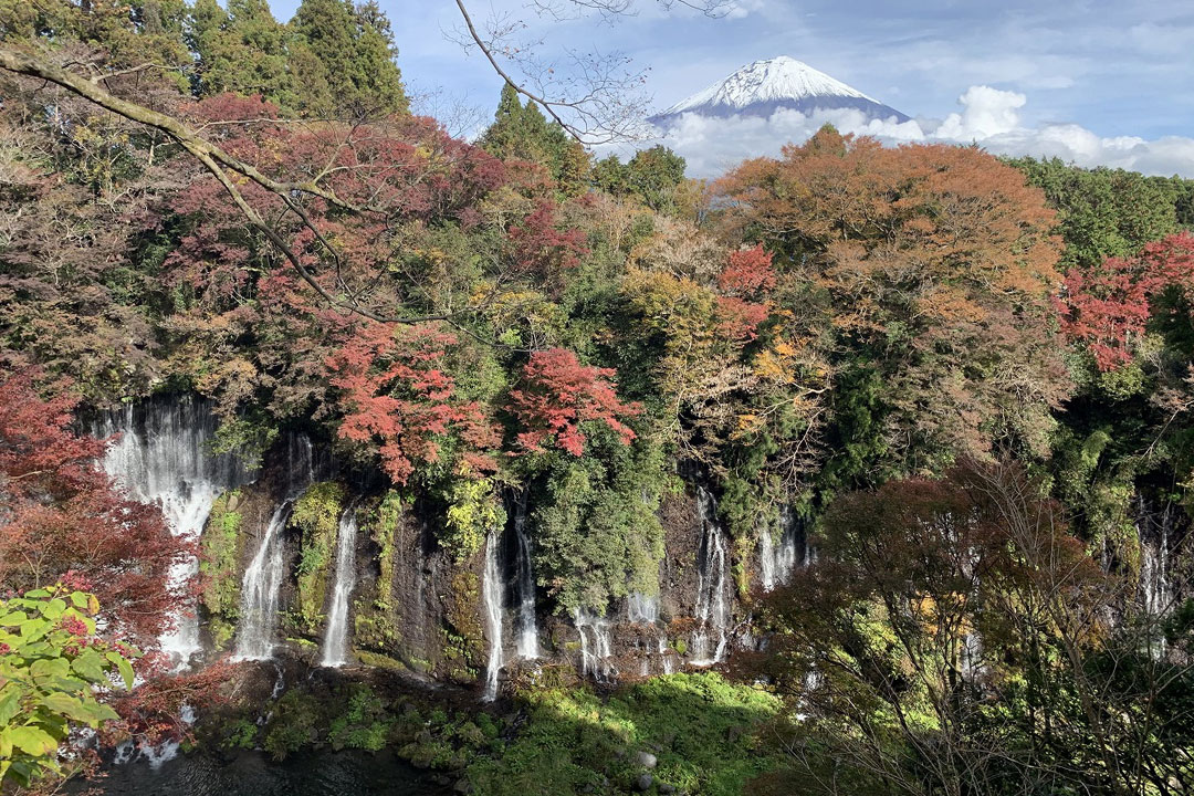 白糸ノ滝 (白糸の滝・音止の滝)