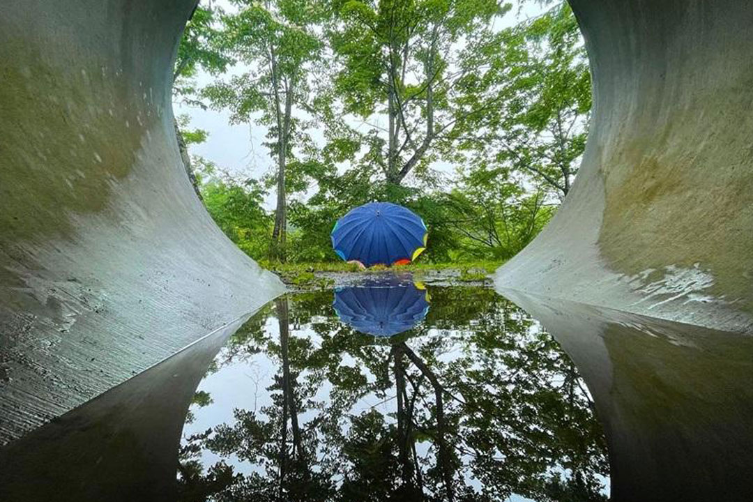 山中湖文学の森公園