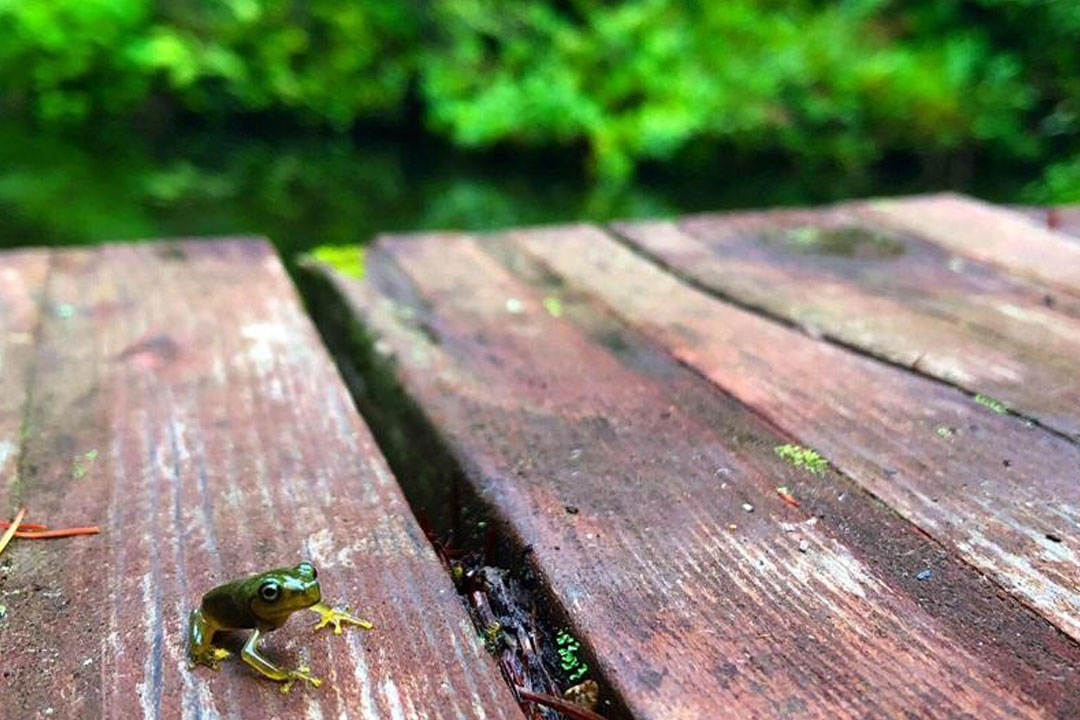 山中湖文学の森公園