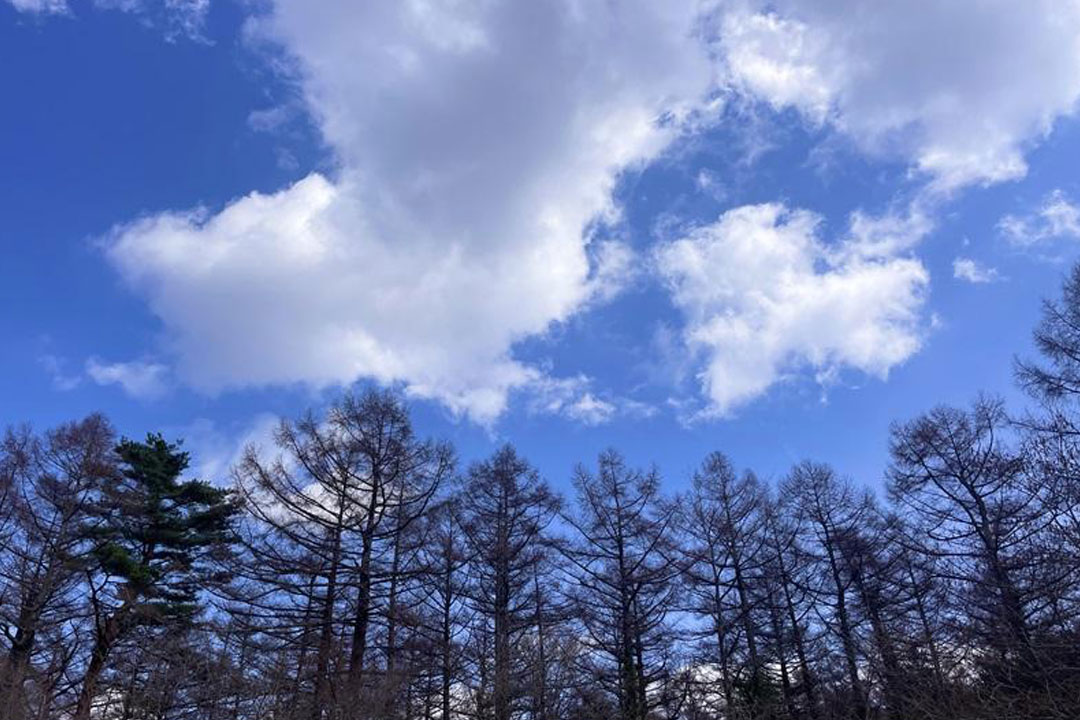 山中湖文学の森公園