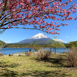 富士山周辺観光＆グルメ