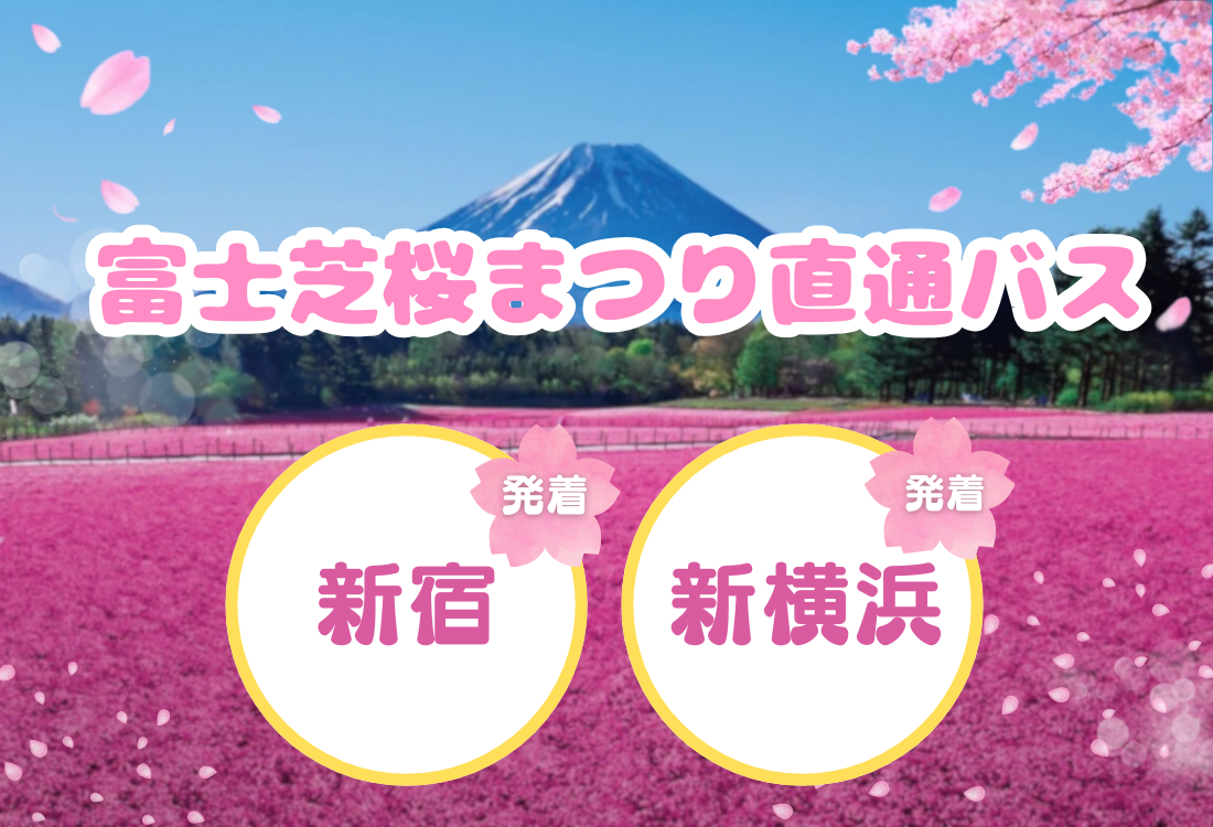 SZ_4_しばチケ（富士芝桜まつり直通バス）｜富士急トラベル株式会社