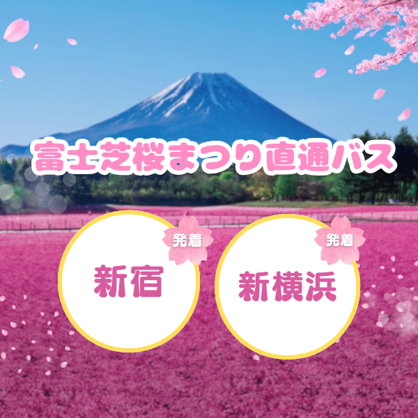富士芝桜まつり直通バス