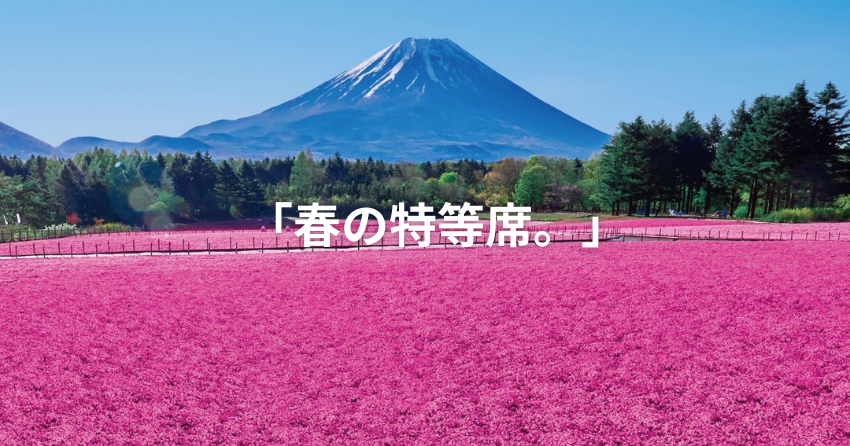 富士芝桜まつり