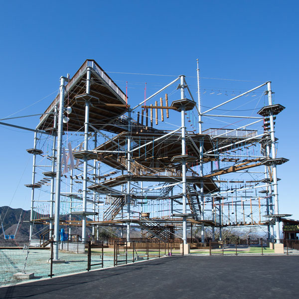 マッスルモンスター